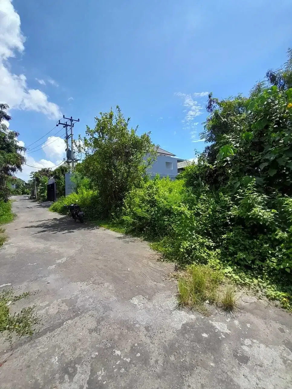 JUAL TANAH SHM PINGGIR PANTAI DI KETEWEL - Image 3 of 7