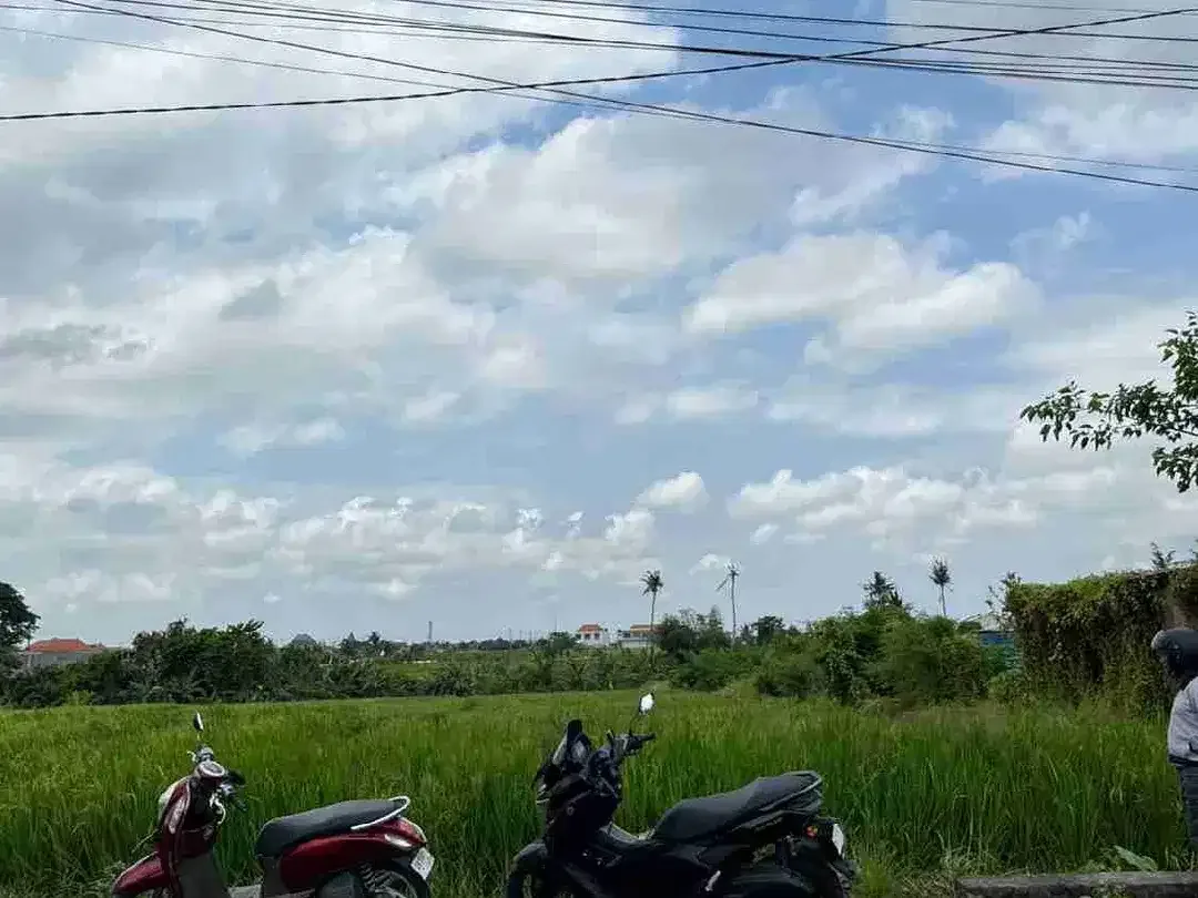 TANAH JALAN UTAMA PANTAI MUNGGU SESEH BADUNG BALI COCOK UNTUK INVESTASI YG BERNILAI TINGGI - Image 1 of 6