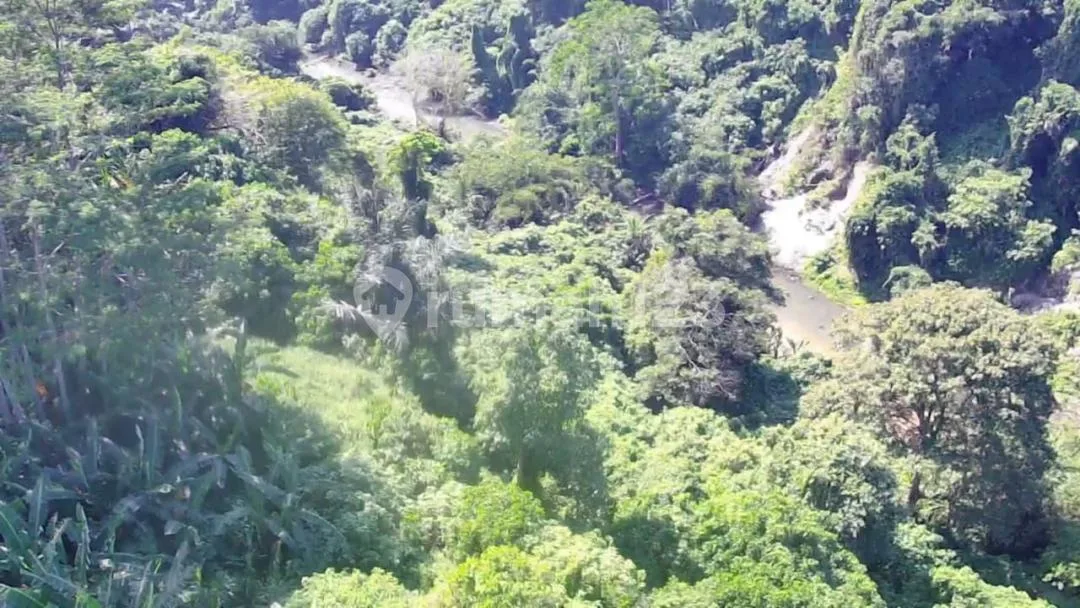 Dijual Tanpa Perantara Dekat Ubud Pinggir Jalan Sampai Sungai Luas 1 Ha, Cocok untuk Villa/Hotel - Image 2 of 4