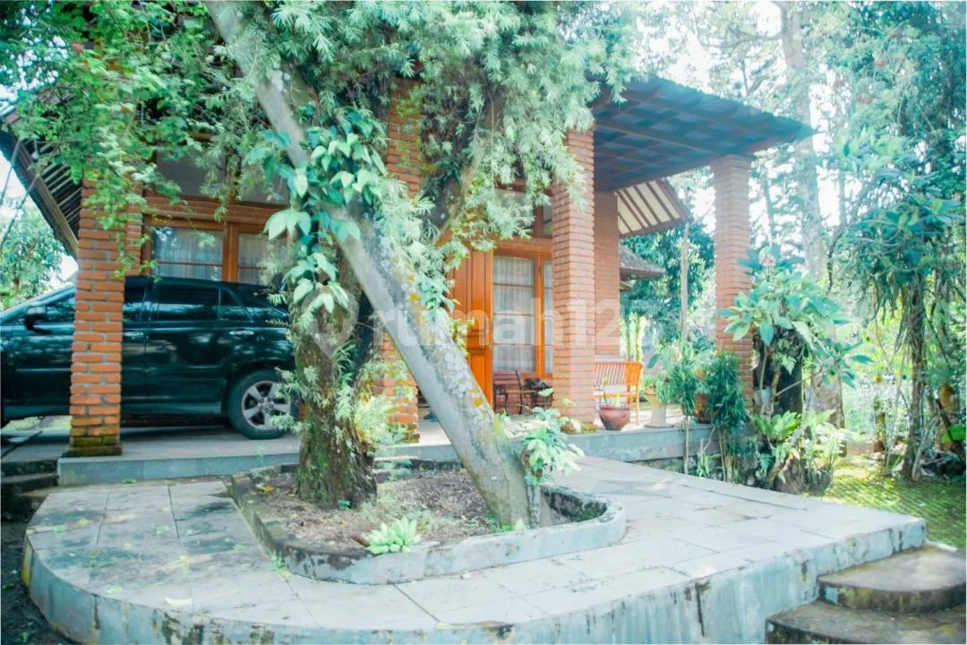 Rumah Vila Super Luas Suasan Tenang Bajera Tabanan Bali - Image 3 of 4