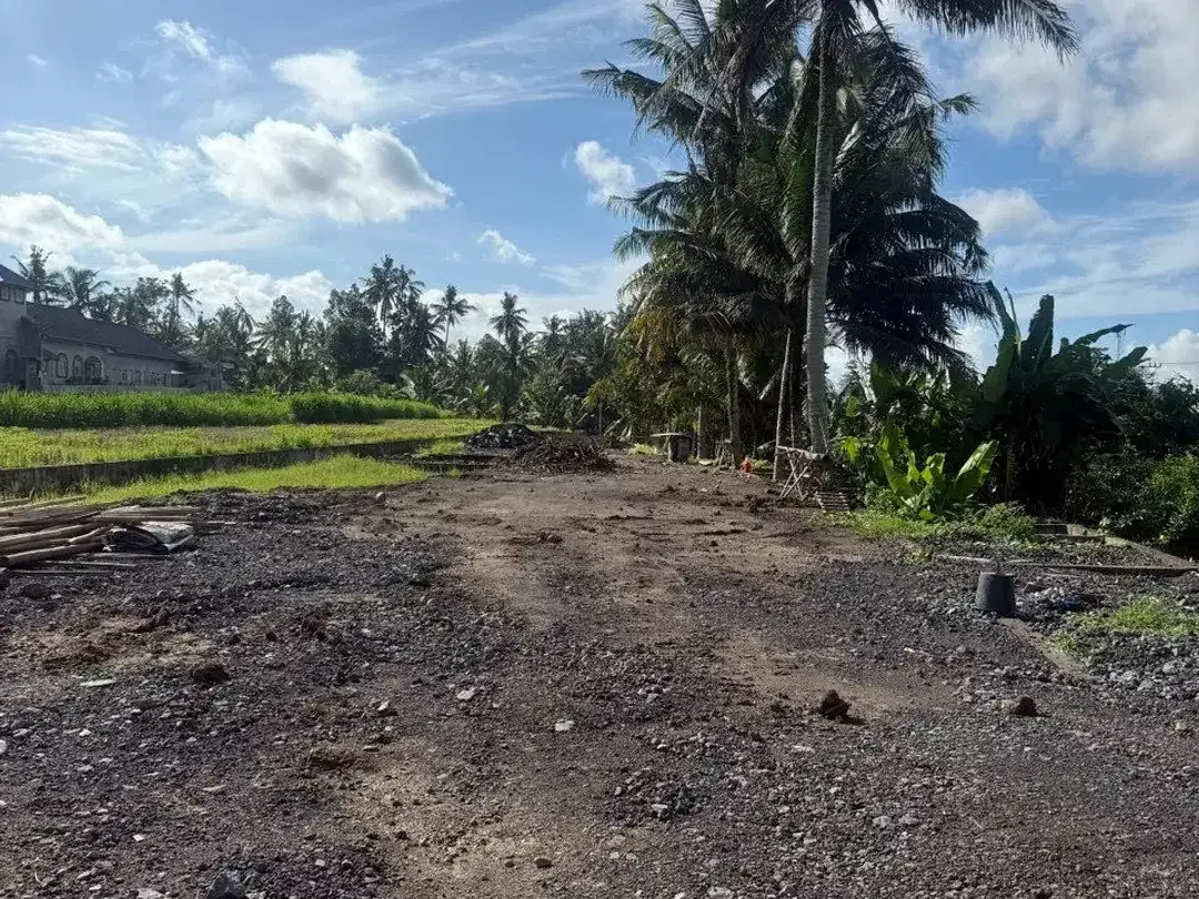 Prime Investment Land - 27 Are Leasehold Plot in Pejeng, Ubud - Secure Your Piece of Bali's Land - Image 6 of 10