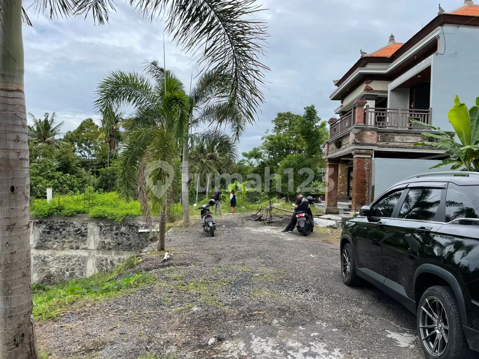 Lahan View Sungai,Sawah dan Junggle Lokasi Singapadu Ubud Gianyar - Image 4 of 4