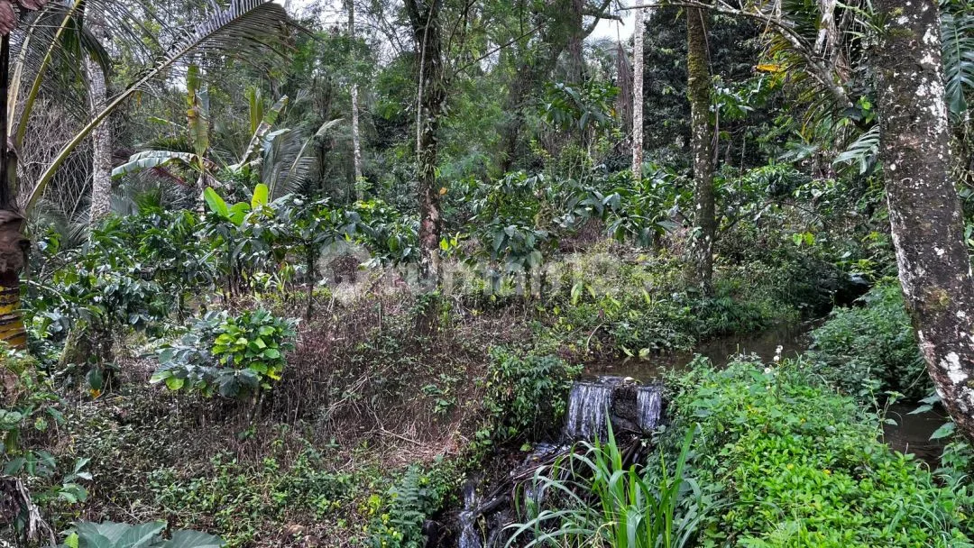 Jual Tanah Kebun Murah View Sawah Los Sungai Di Tabanan Bali - Image 2 of 4
