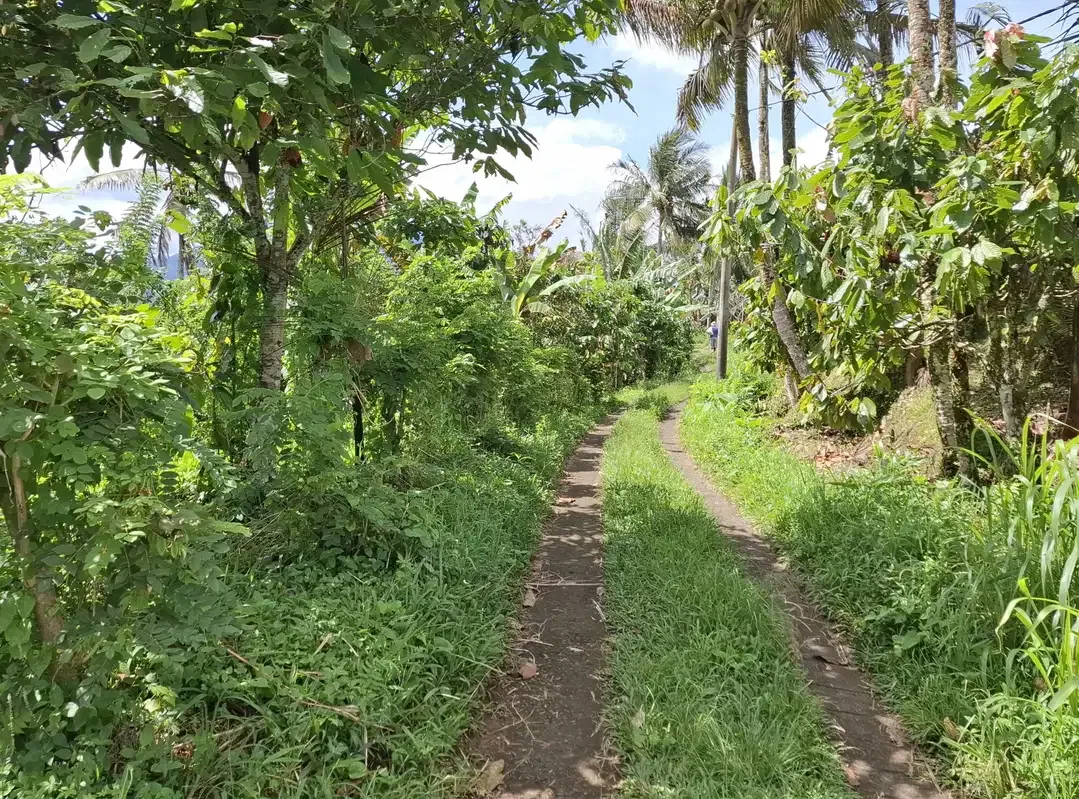 Dijual tanah los sungai view gunung dan sawah - Image 7 of 9