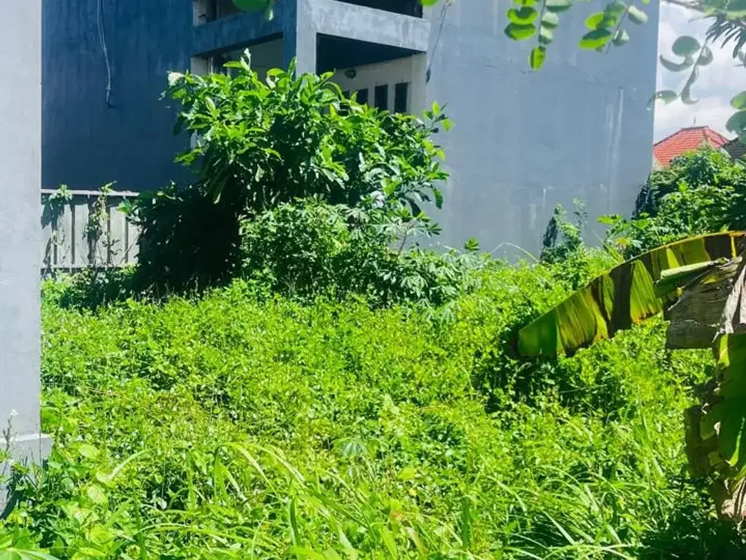 [DIJUAL] TANAH STRATEGIS DEKAT PANTAI MATAHARI TERBIT – COCOK UNTUK HUNIAN & INVESTASI - Image 4 of 6