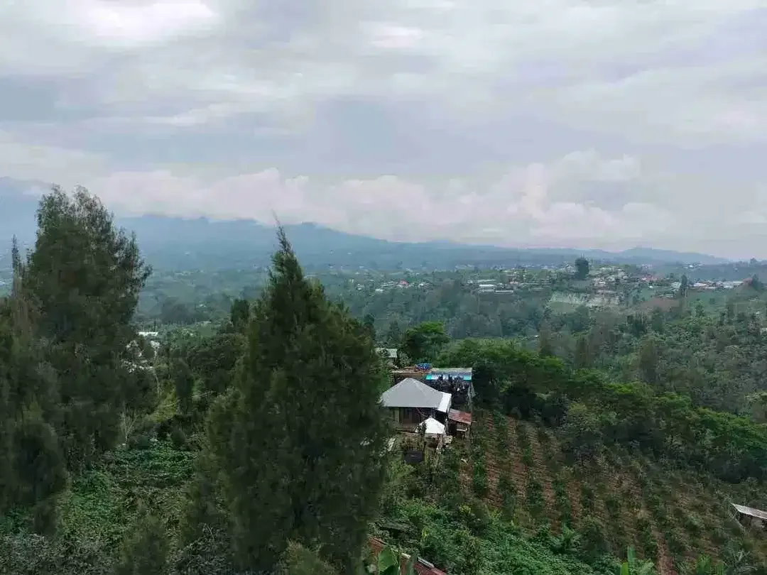 Kebun View Lembah di Kintamani Bangli Bali - Image 2 of 4