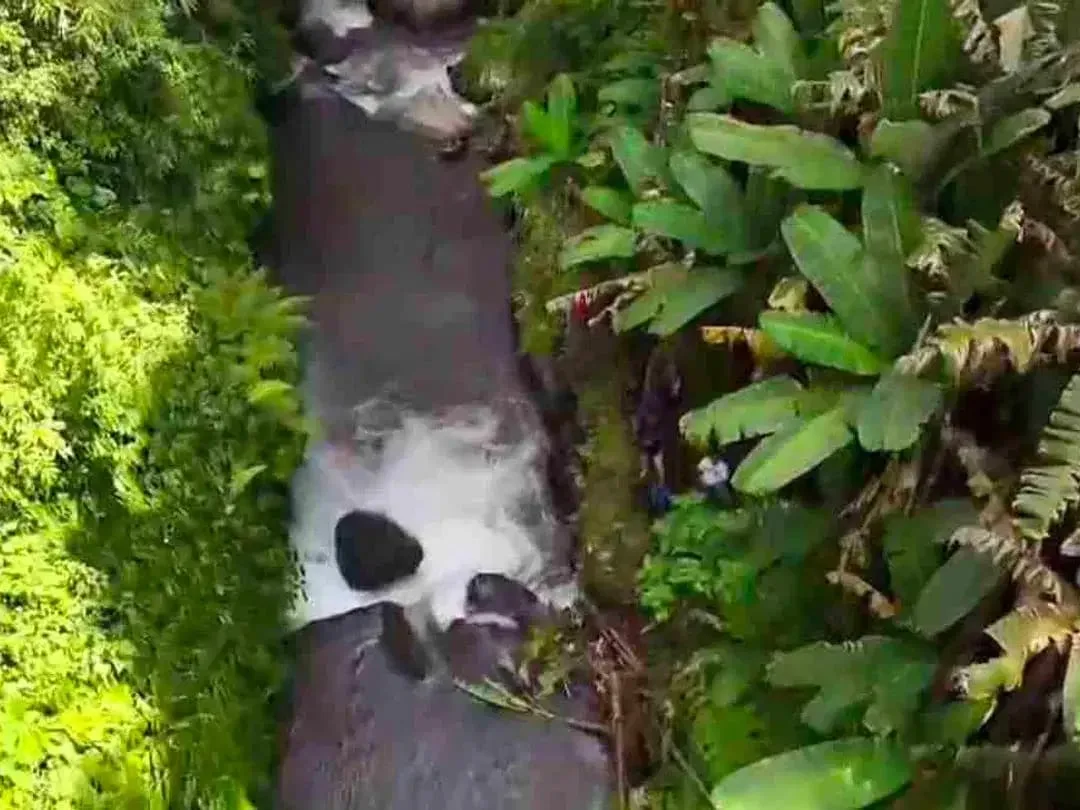 Tanah Riverside Buahan Ubud 500 mtr Hanging Garden hotel - Image 3 of 10