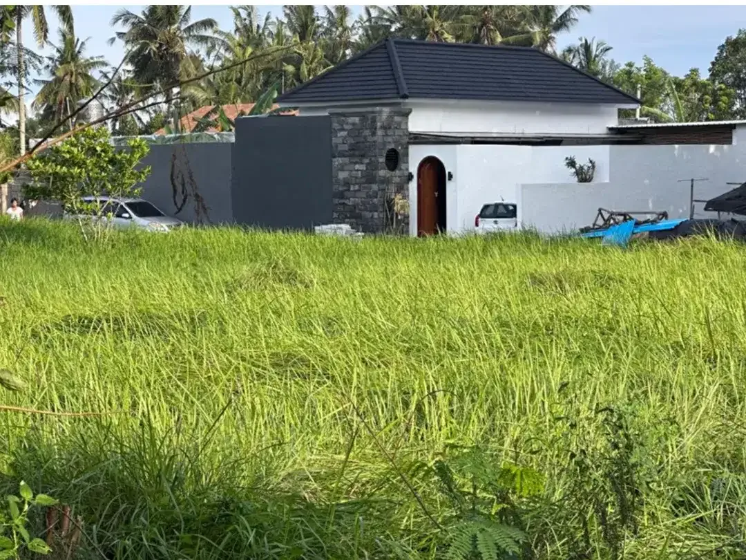 BRAND NEW VILA FOR SALE IN UBUD GIANYAR - Image 3 of 10
