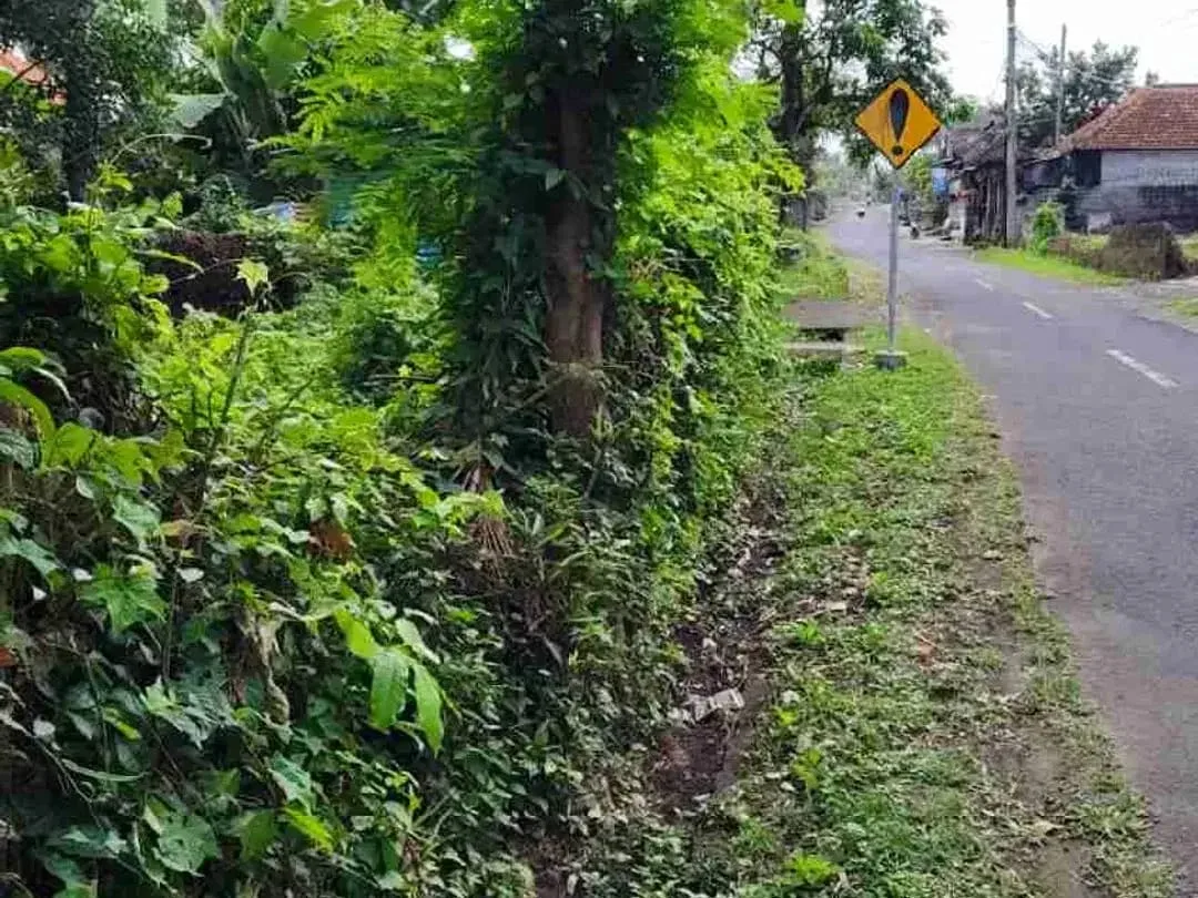 jual tanah murah ,di tabanan.pinggir jln aspal .luas 8500m2 (85 are). harga 50 jt/ are/100m2 - Image 2 of 7