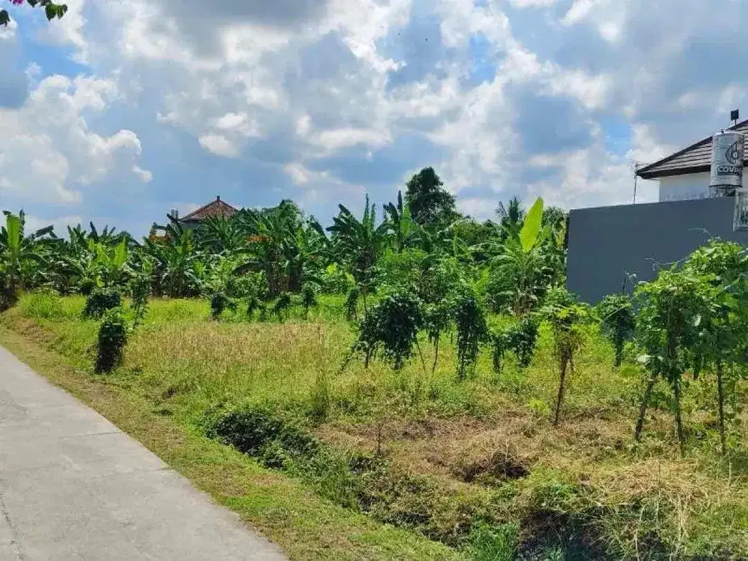 DIJUAL TANAH STRATEGIS DEKAT PANTAI YEH GANGGA TABANAN BALI - Image 2 of 5
