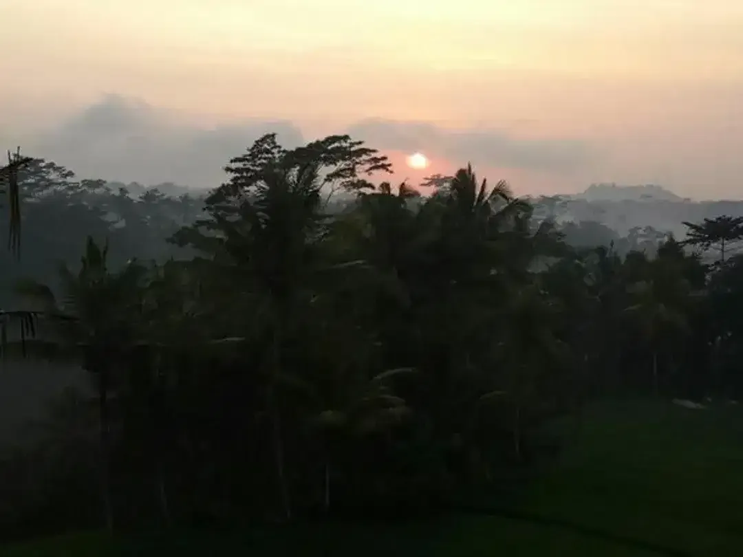 Tanah 2.549 m² Dijual di Tampaksiring, Tegallalang, Gianyar - Image 6 of 10