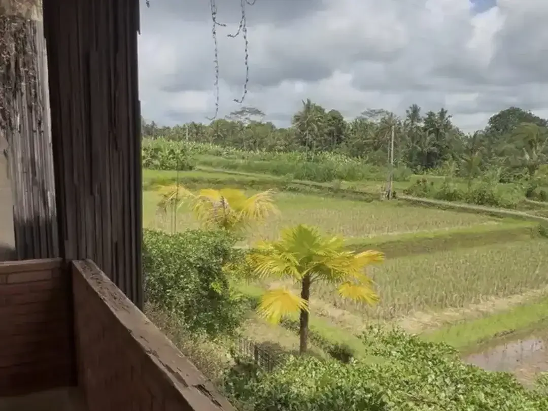 2 Bedroom Villa for sale in Ginyar, Bali - Image 8 of 10