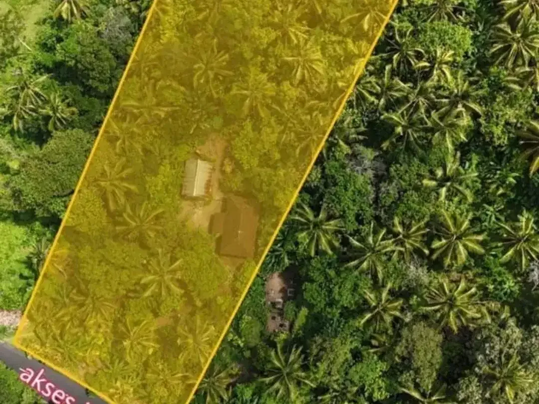 Land for sale in Selemadeg, Bali - Image 2 of 3