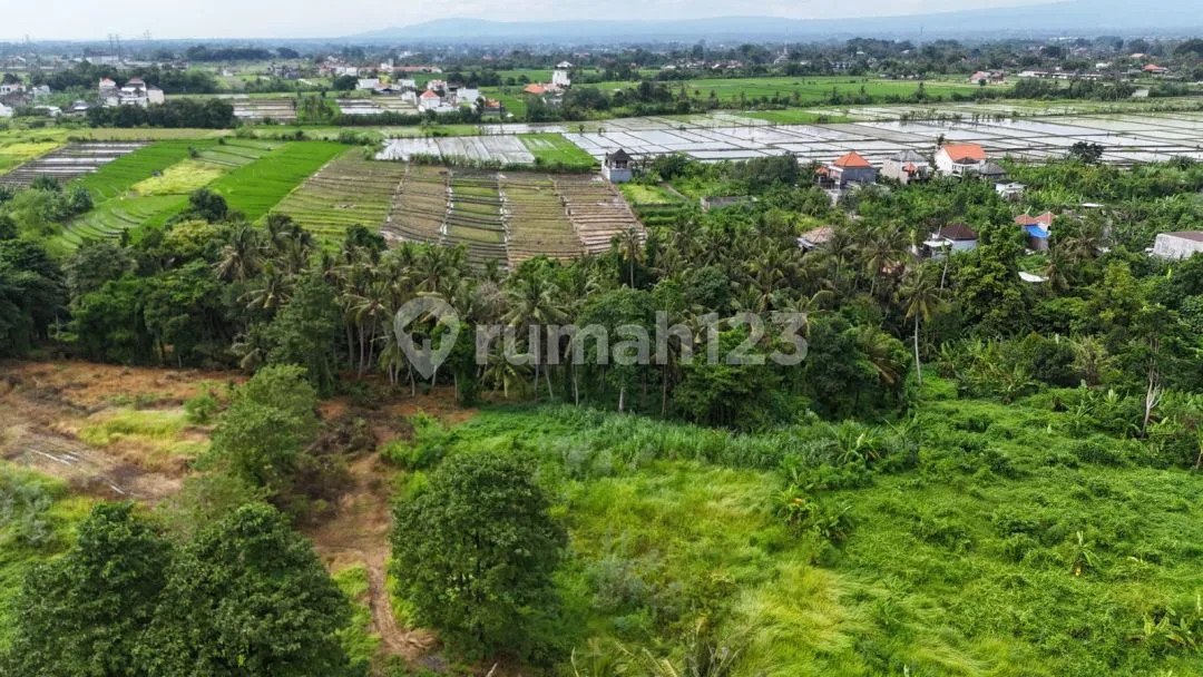 Dijual Tanah Los Sungai, View Sawah di Area Tanah Lot Tabanan - Image 3 of 4