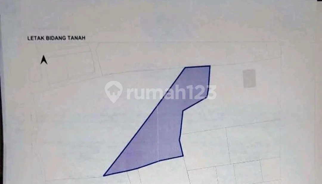 9700M2 Tanah Dijual -7 Menit ke Pantai Pandawa - Image 4 of 4