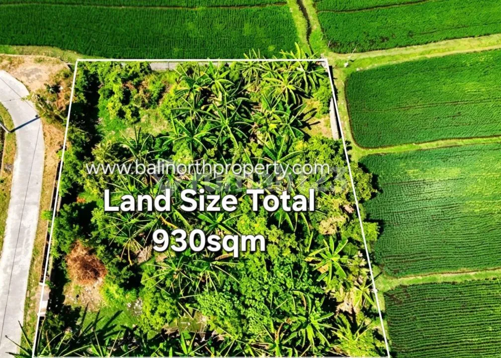 Exclusive Land For Sale In Lovina Area North Bali - Image 2 of 4