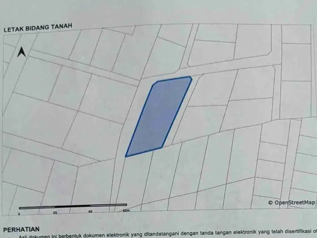Di jual tanah luas 750 M2/ 7.5 are kawasan villa dan perumahan di kampial Benoa Kuta Selatan - Image 5 of 10