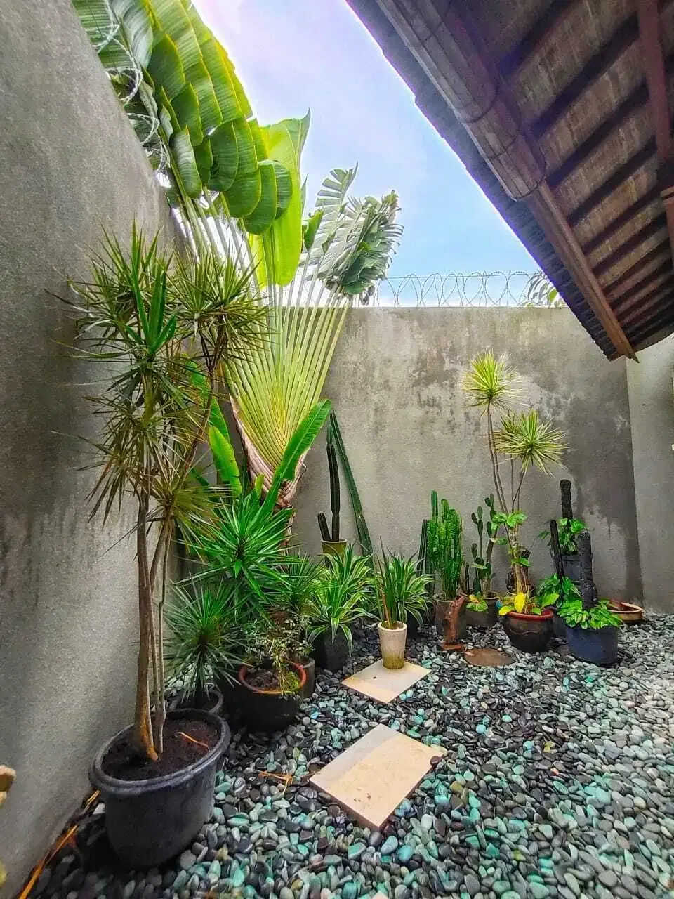 Stylish 3-Bedroom Freehold Villa in Prime Seminyak – Jl. Bidadari - Image 3 of 10