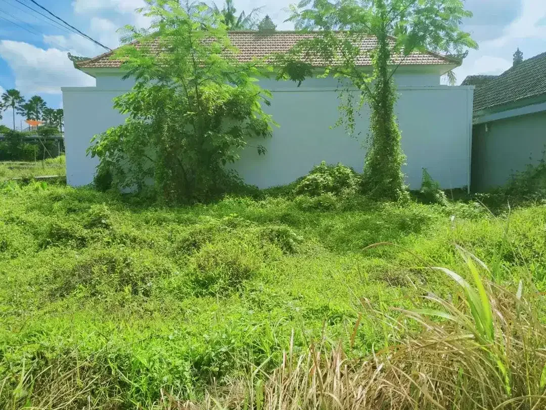 Scenic 2 Are Leasehold Land in Ubud with Rice Field View - Image 2 of 10
