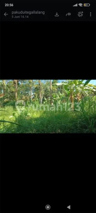 Dijual Tanah Area Tegalalang Ubud Utara Bagus - Image 2 of 4