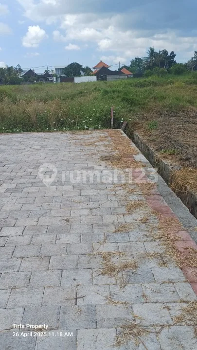 Tanah Dekat Pantai Kedungu Shm 850.0 MÂ² - Image 3 of 4