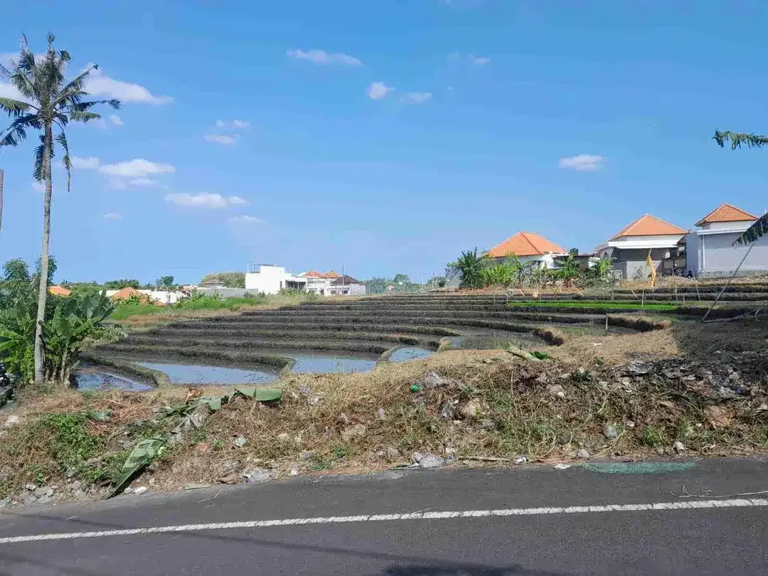 Tanah View Sawah Kayu Tulang Canggu Kuta Utara - Image 5 of 10