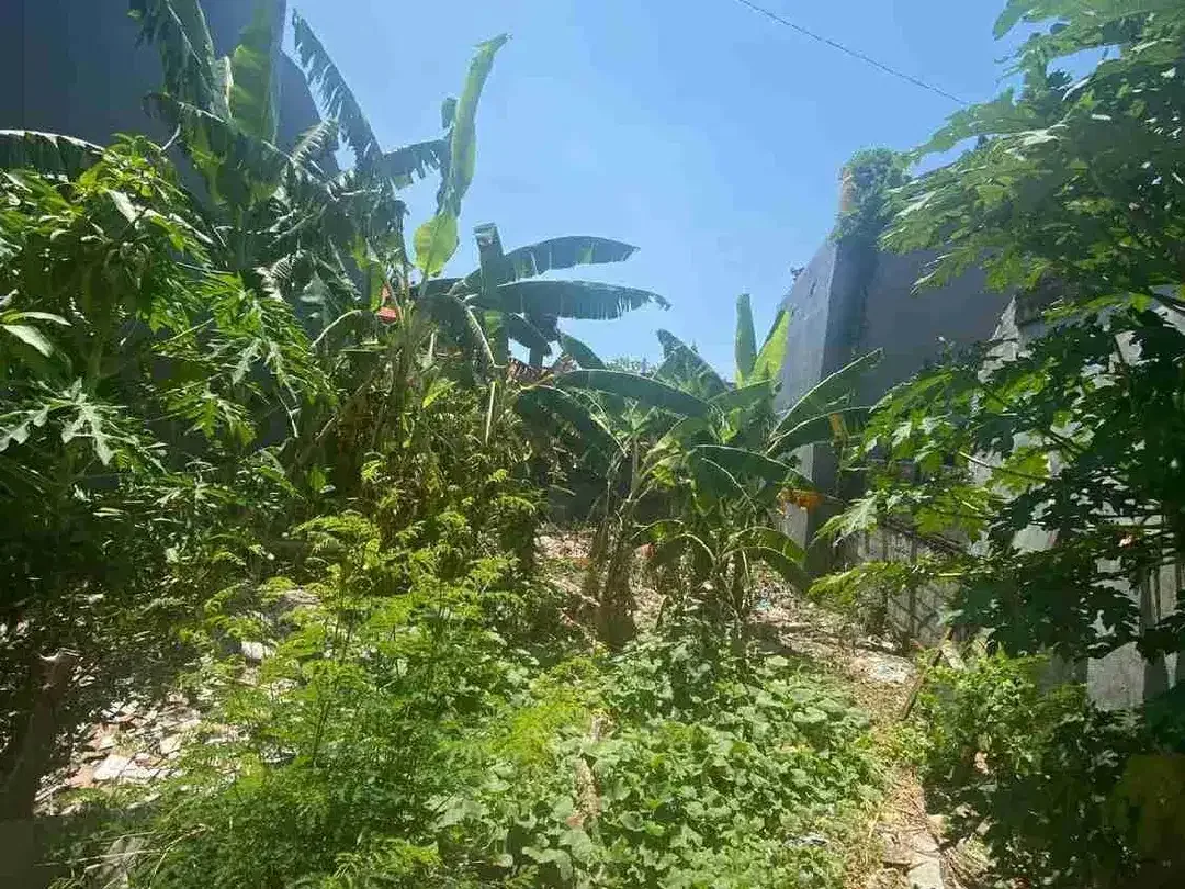 Di jual tanah jalan Sekar sari, Denpasar timur , Bali - Image 3 of 4