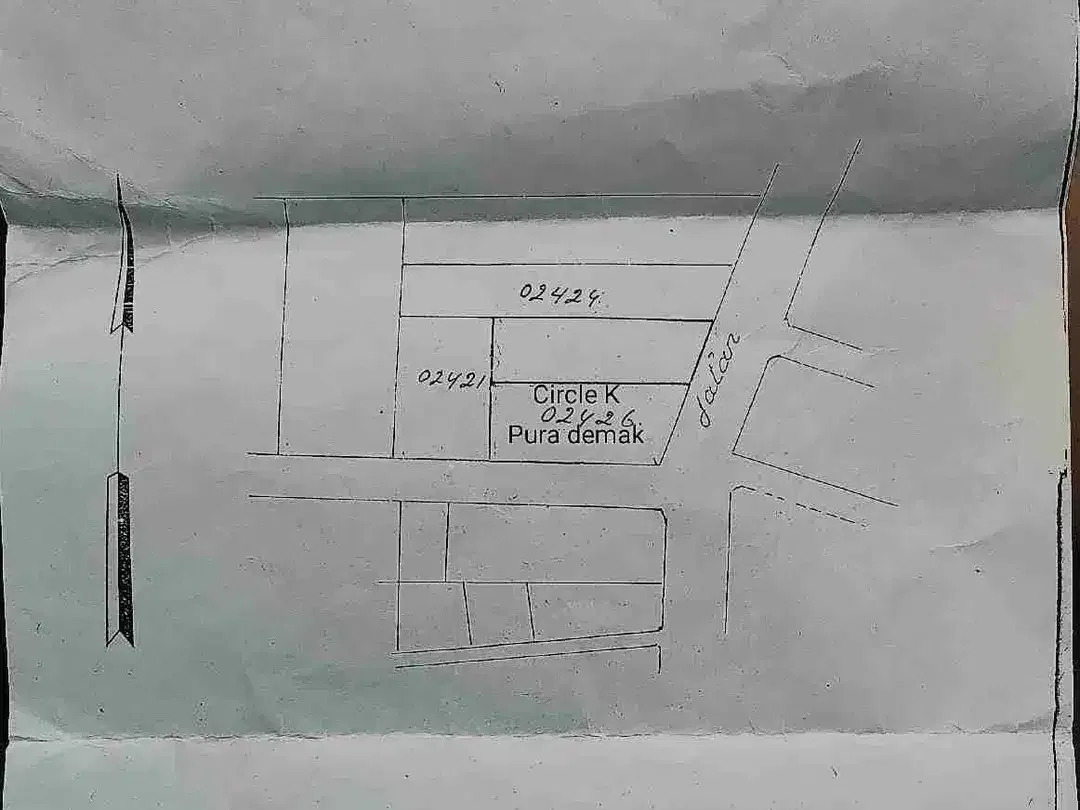 Tanah strategis Pura Demak Denpasar Bali - Image 6 of 7