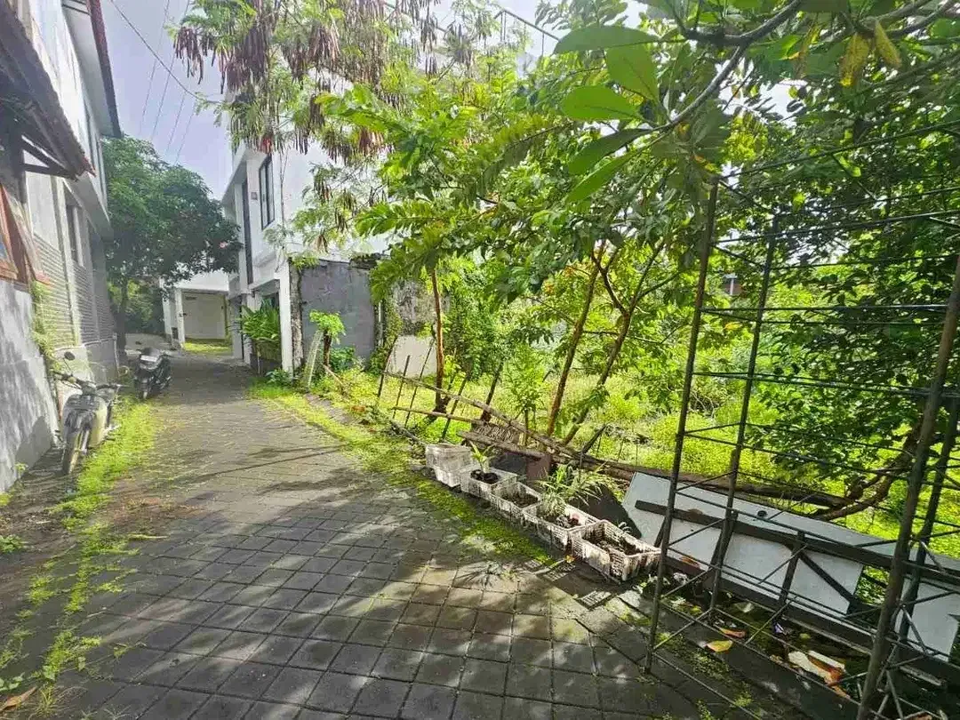 Tanah Tegal cupek umalas bali - Image 1 of 7