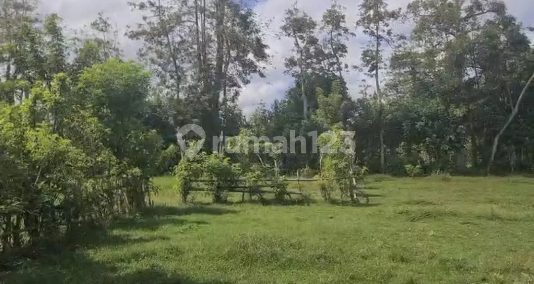 Dijual Tanah Murah Dekat Pantai Melasti Ungasan Bali - Image 1 of 4