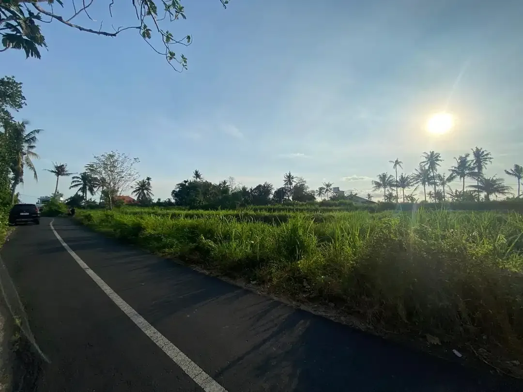 BUC Tanah 21 are Pinggir Jalan Utama di Pering Gianyar - Image 5 of 6