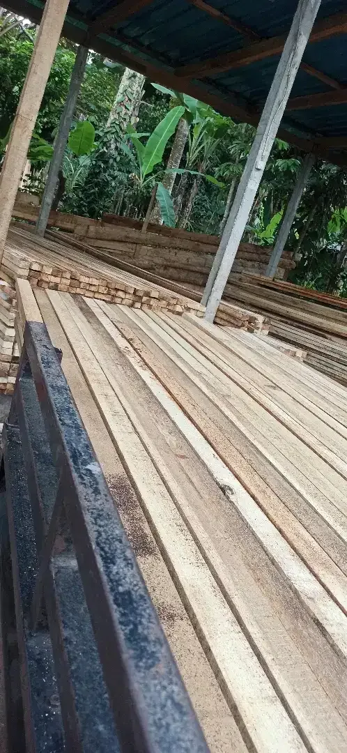 Dijual kayu jimas super lurus dll dri pemotongan langsung - Image 2 of 5