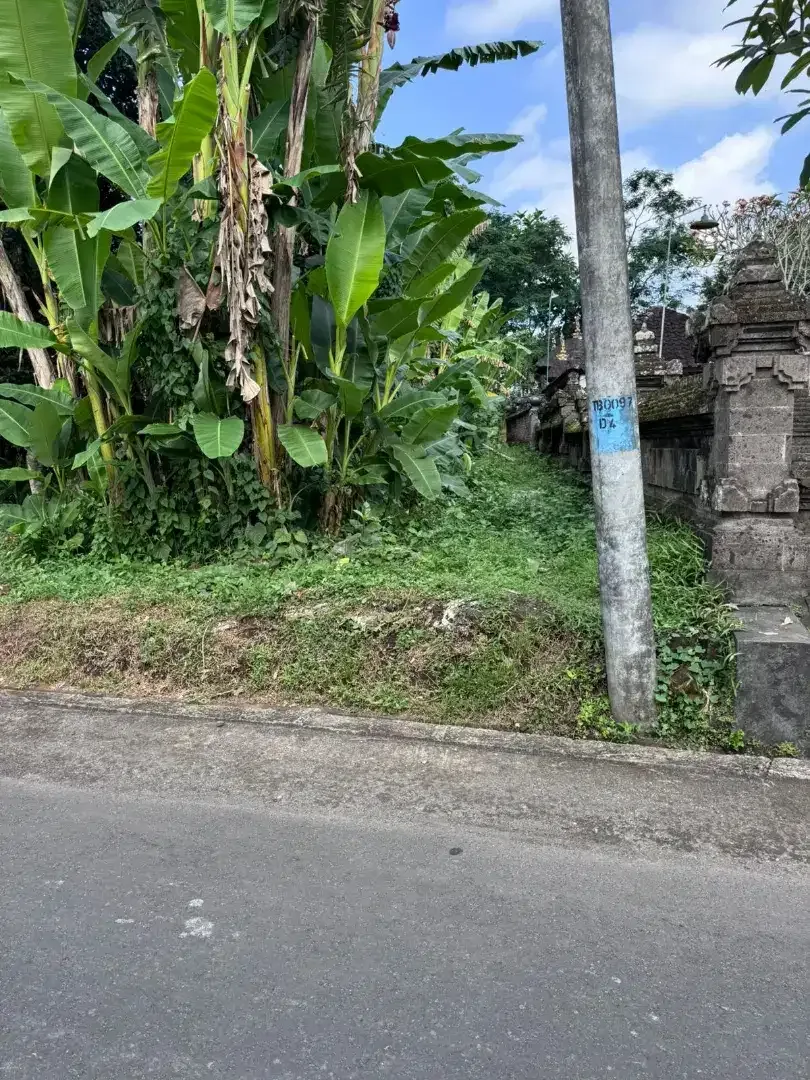 35mnit to canggu pererenan - Image 4 of 5