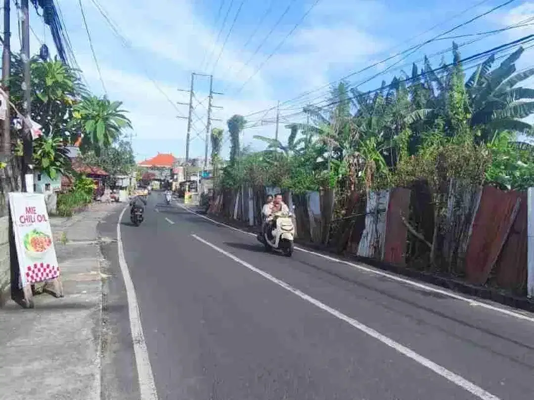 Tanah Murah Tunjung Sari Shm Denpasar Barat - Image 3 of 4