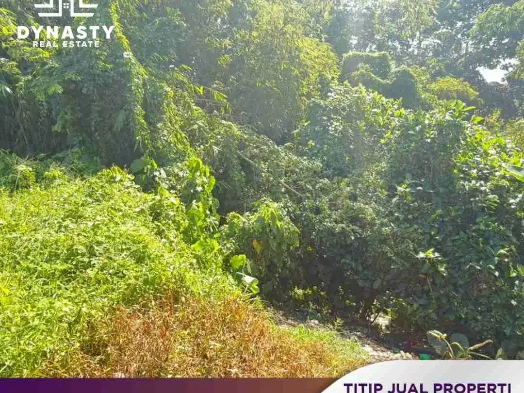 LAND FOR SALE – DALUNG | HARGA MURAH & POTENSIAL INVESTASI - Image 2 of 10