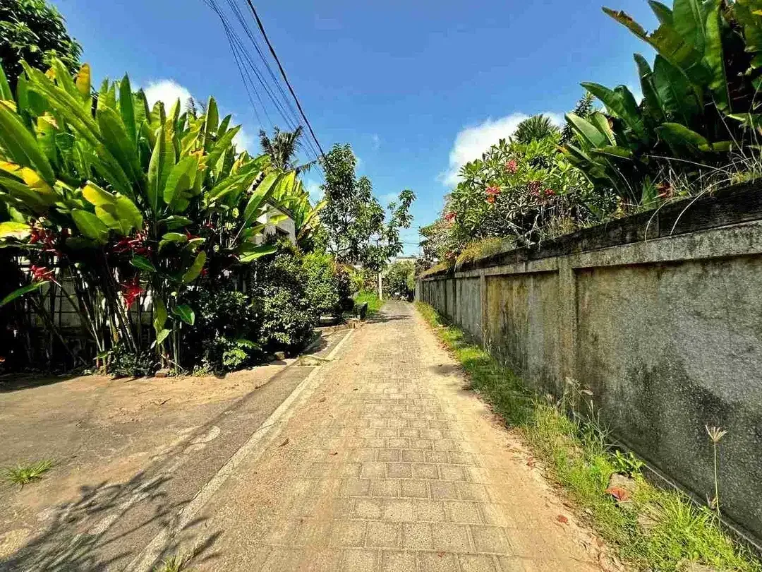 tanah bagus cocok untuk bangun villa - Image 1 of 8