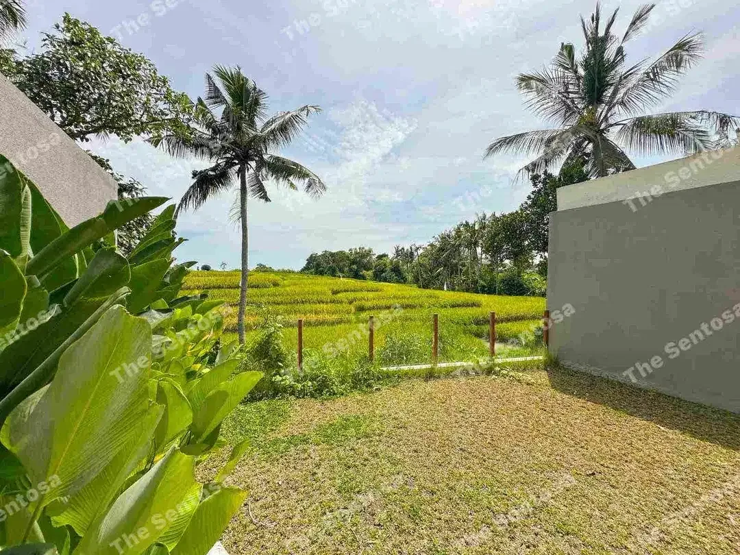 Villa Kedungu View Sawah Abadi Brand new harga super ramah - Image 7 of 10