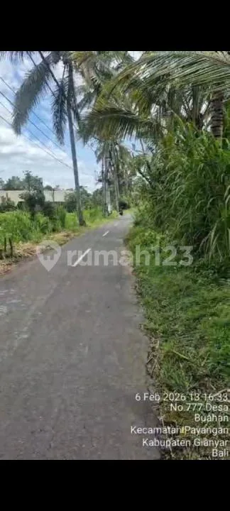 Jual Tanah di Payangan -Ubud - Image 1 of 4