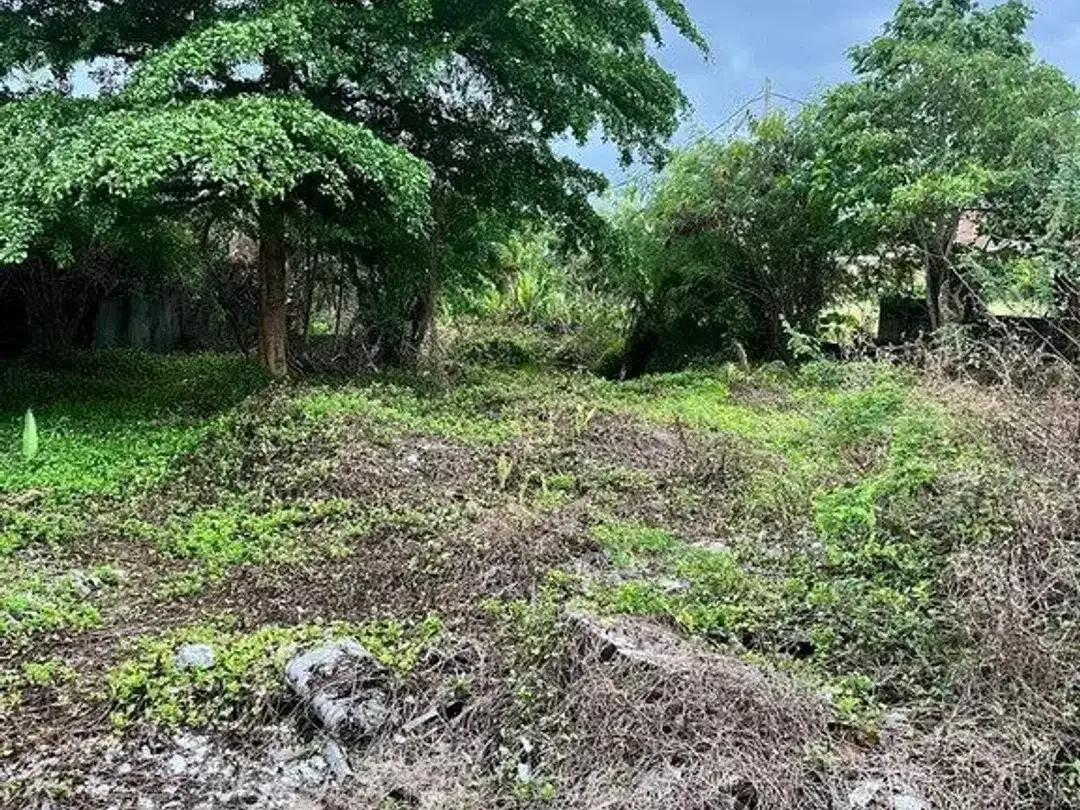 Premium 7.58 Are Freehold Rice Field View Land For Sale In Berawa - Image 1 of 8