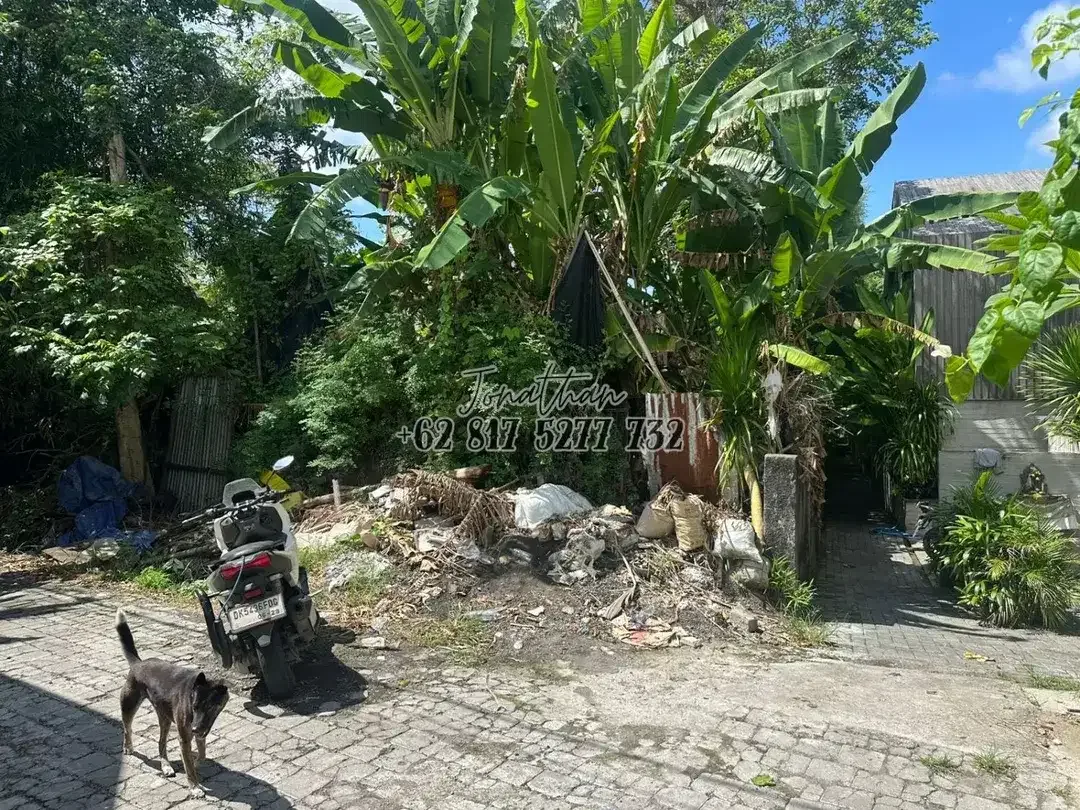 Disewakan Tanah 7,85 Are Zona Campuran di Pererenan Canggu Badung Bali - Image 10 of 10