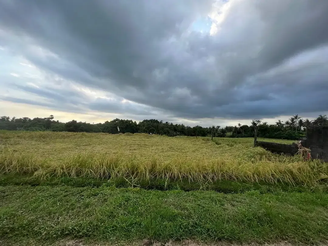 Dijual tanah dekat pantai Klecung Tabanan - Image 1 of 3