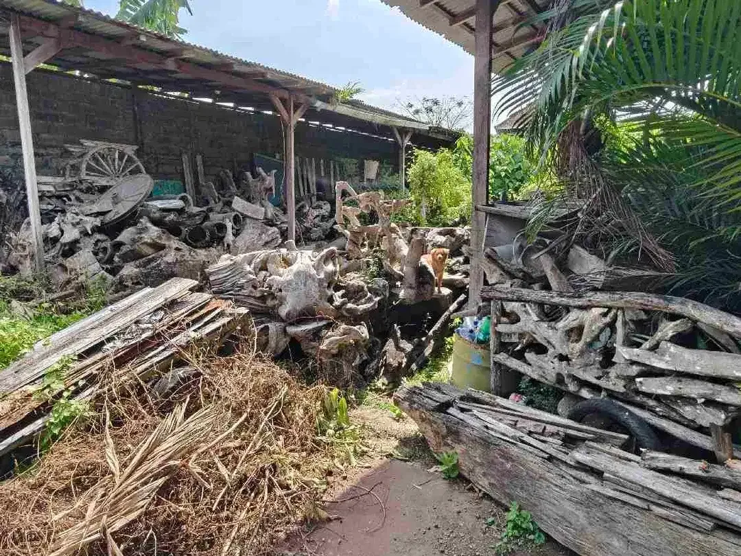 Lahan Langka plot kecil zona Kuning gg nangka kerobokan area nyaman strategis bebas banjir - Image 1 of 6