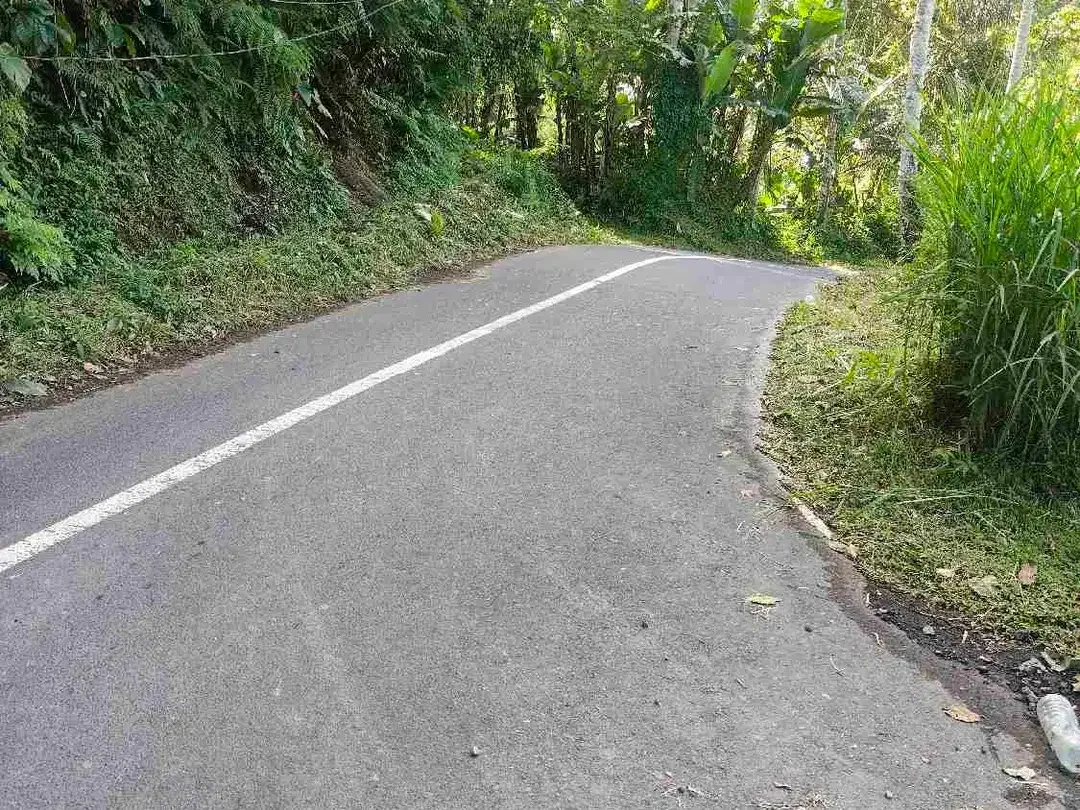 Kavling ubud - Tegallalang, view bagus - Image 2 of 5