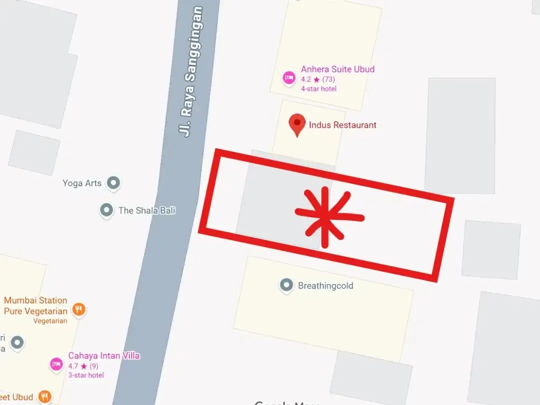 Tanah dijual di jalan raya utama Ubud SHM - Image 5 of 5