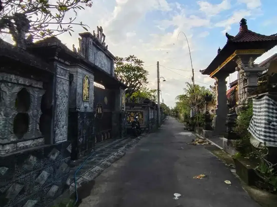 Di Jual Tanah Sukawati kontur tanah datar dekat ubud cocok untuk villa - Image 6 of 6