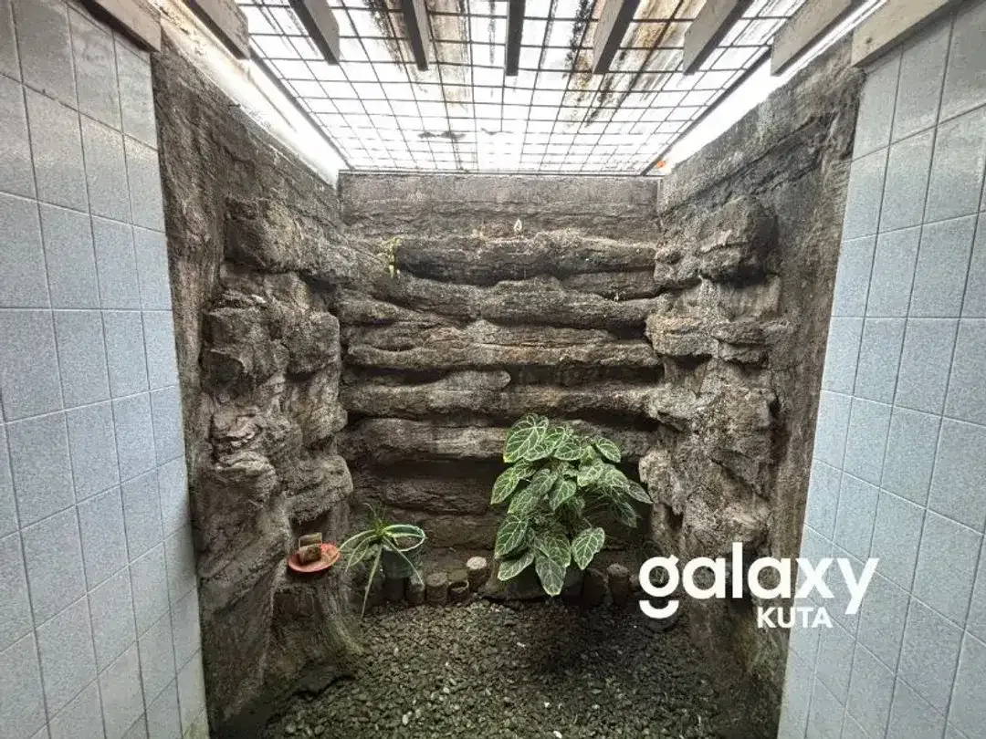 DIJUAL RUMAH DEKAT AREA PARIWISATA DI NYANG NYANG SARI DALAM BADUNG - Image 9 of 10