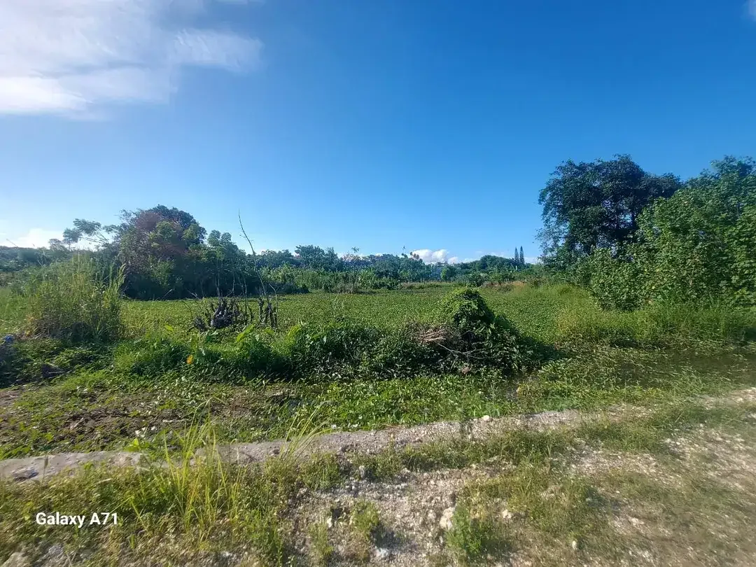 Dijual Tanah 5 Are di Area Padang Galak, Sanur. - Image 9 of 9