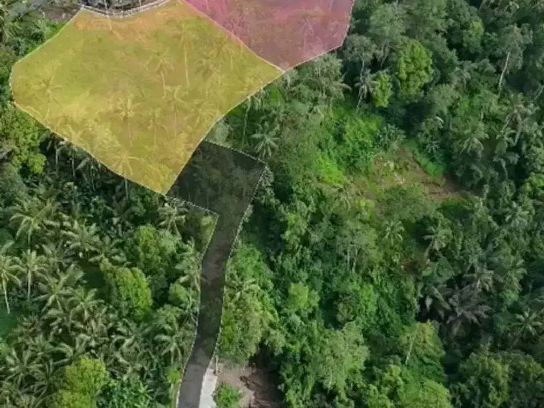 Tanah sayan ubud bali - Image 2 of 6