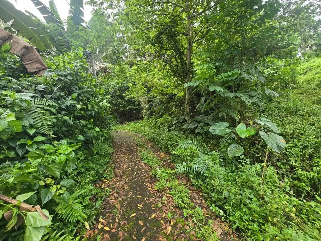 Dijual tanah luasan kecil berdampingan dengan villa komersil - Image 7 of 7