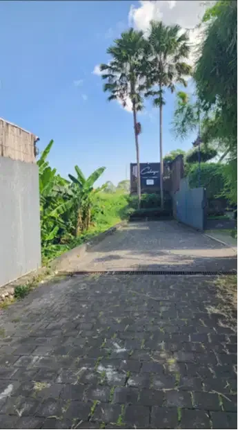 Tanah di Berawa Canggu - Image 8 of 10